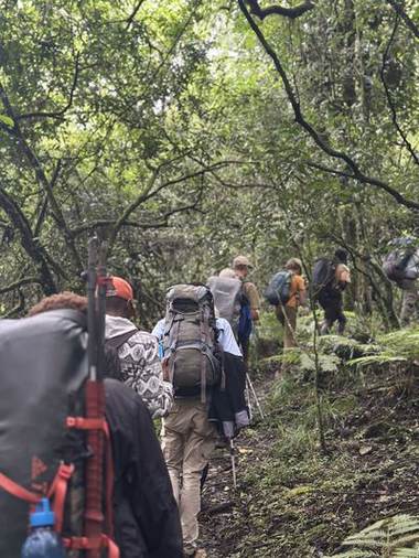 Forest Trails, Bamboo, hagenia and canopy