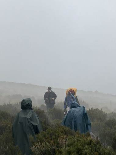 The Aberdares, Elephant Hill & Kinangop