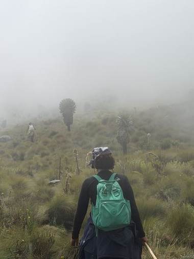 The Aberdares, Elephant Hill & Kinangop