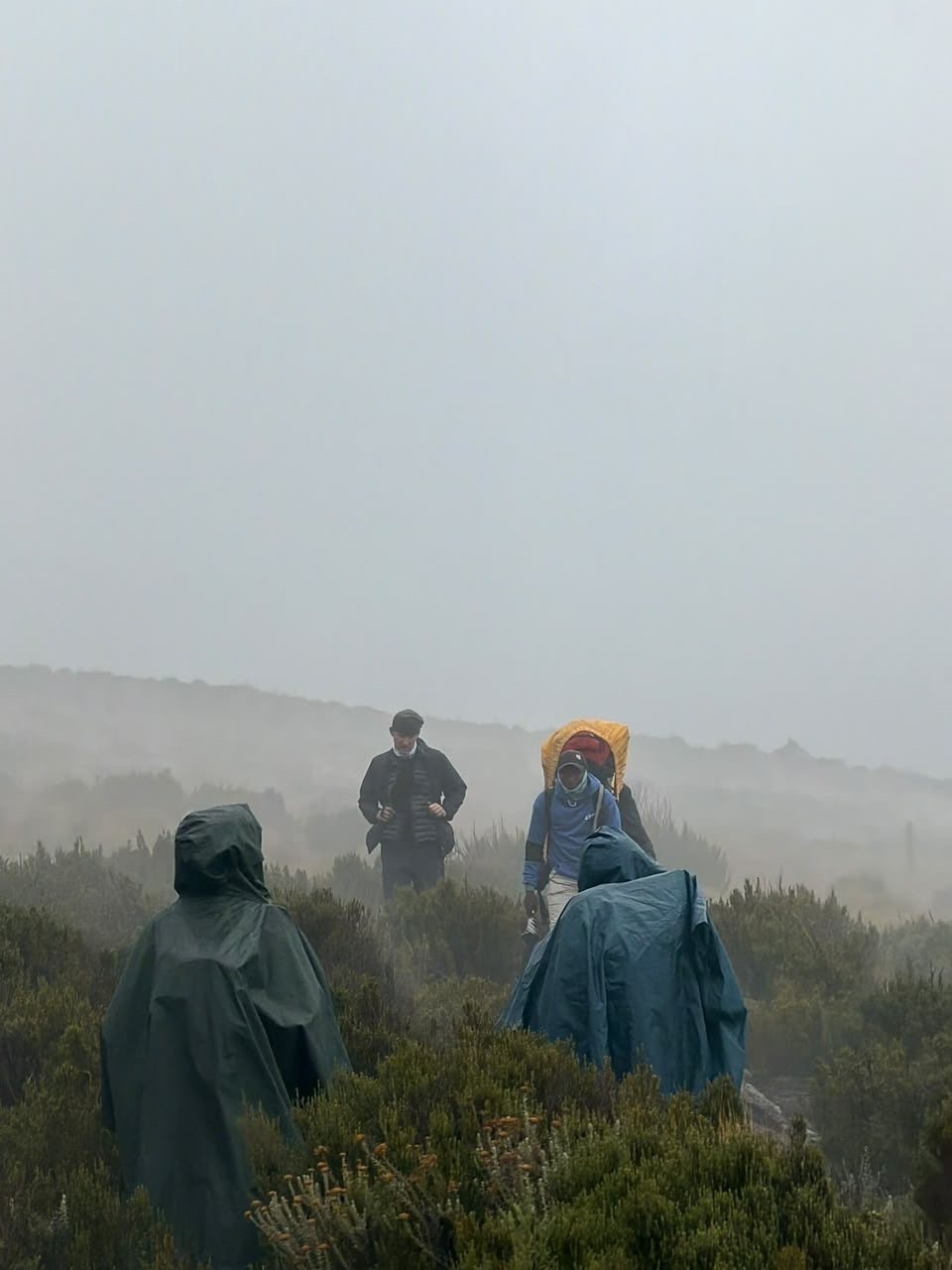 Mt Kenya, 2 Day Trek, Sirimon Route